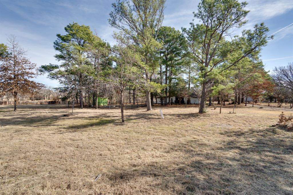 890 Copper Canyon Road Copper Canyon, TX 76226 - Photo 3 of 37 a view of road with trees