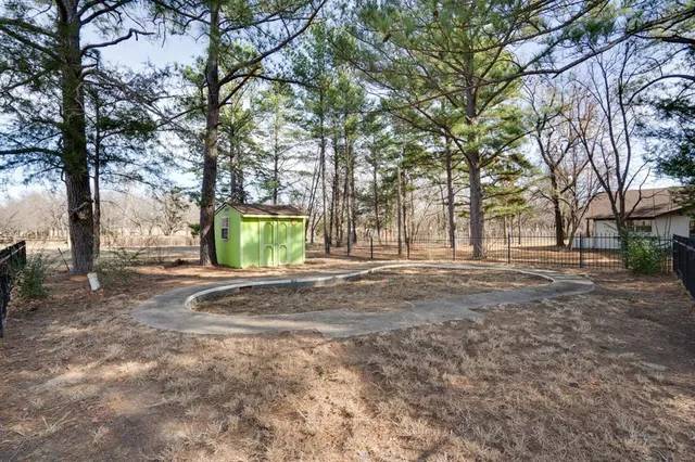 a view of road with large trees