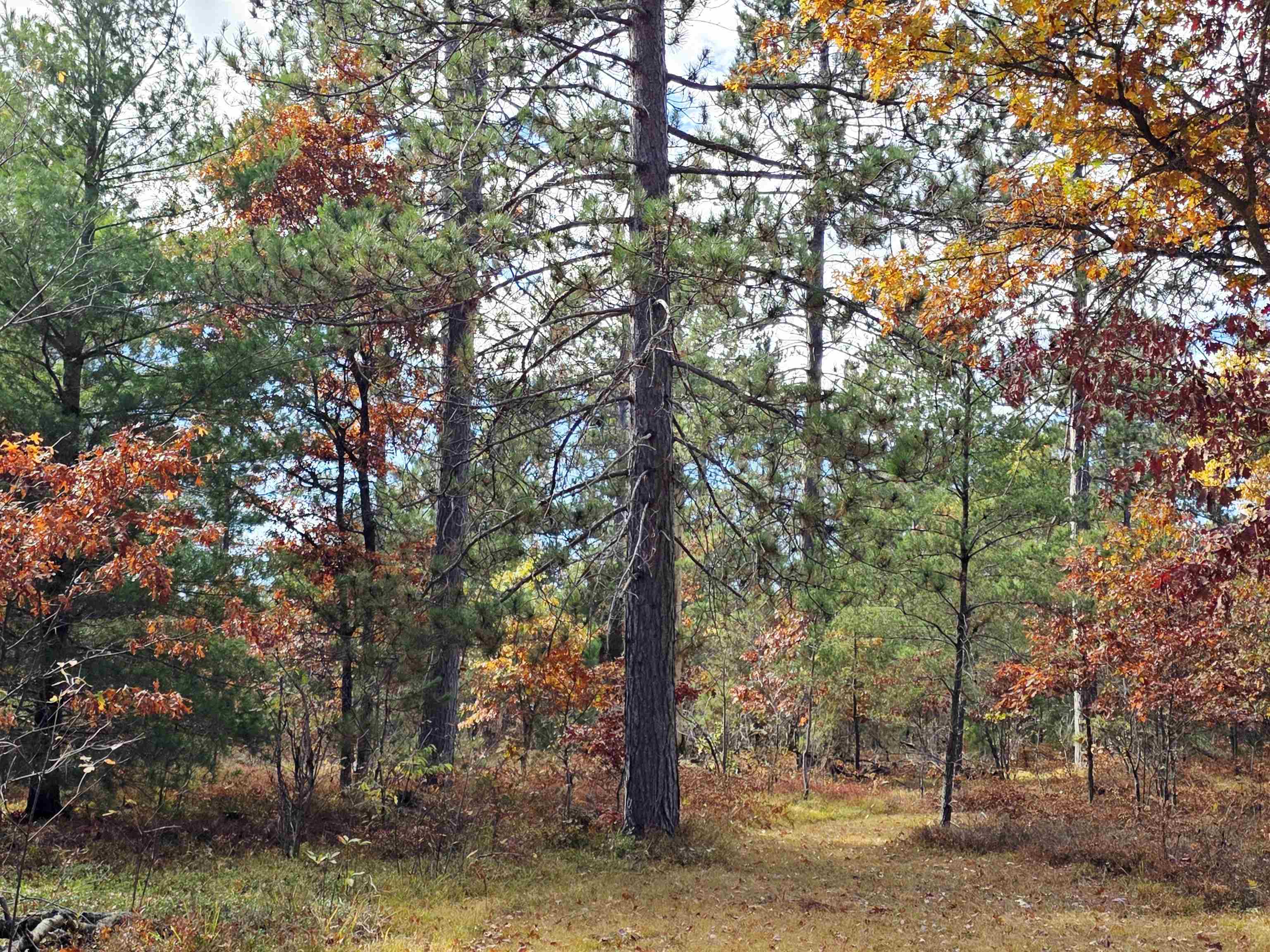 2498 West 5 Mile Road Grayling, MI 49738 - Photo 40 of 41