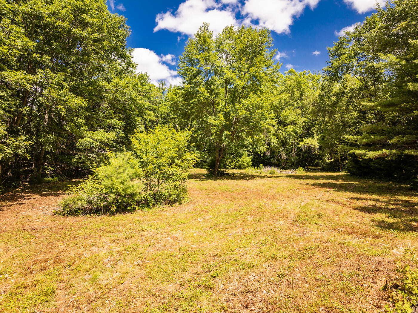 Lot 3 Aldus Shores Road Searsmont, ME 04973 - Photo 5 of 12