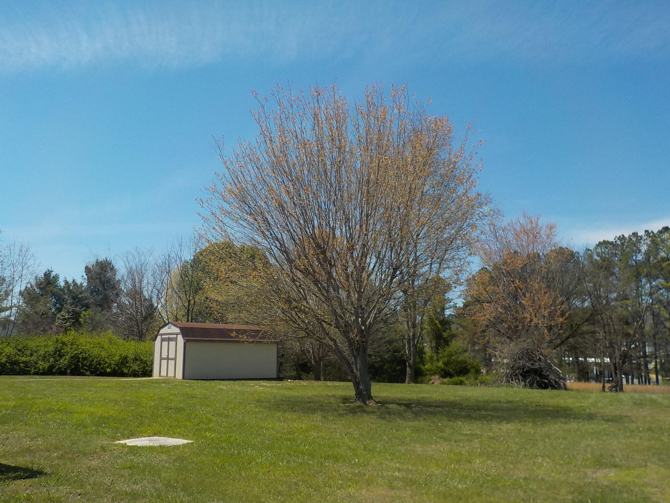 175 Shane Lane Bean Station, TN 37708 - Photo 11 of 40 013