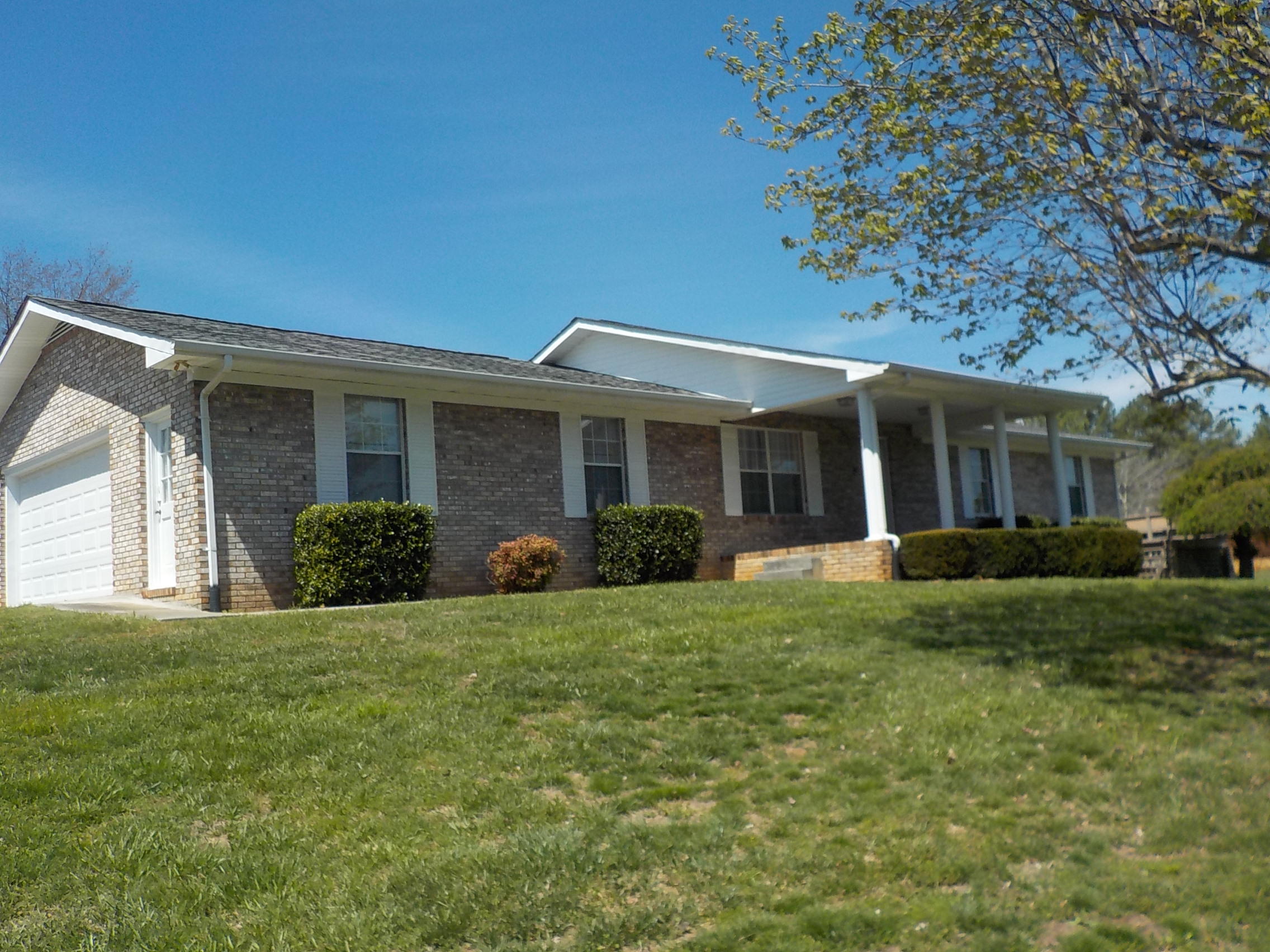 175 Shane Lane Bean Station, TN 37708 - Photo 3 of 40 004