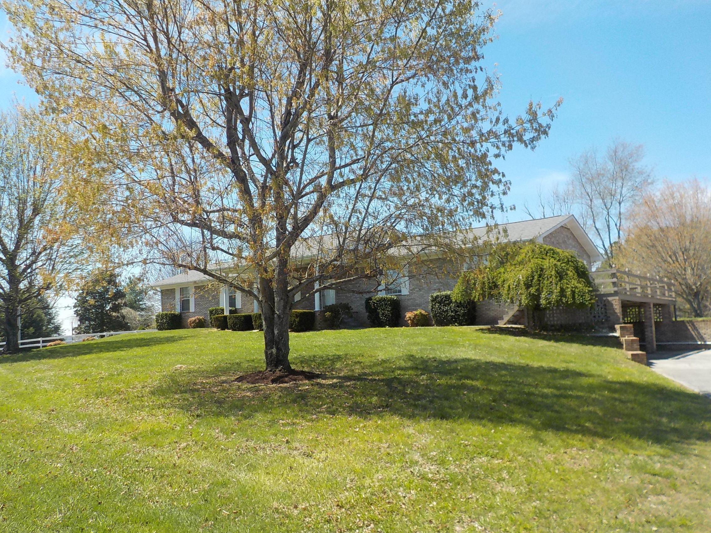175 Shane Lane Bean Station, TN 37708 - Photo 10 of 40 009