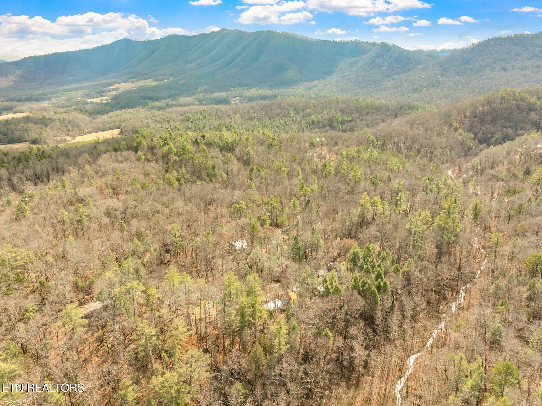 151 Sequoyah Village Road Townsend, TN 37882 - Photo 55 of 60