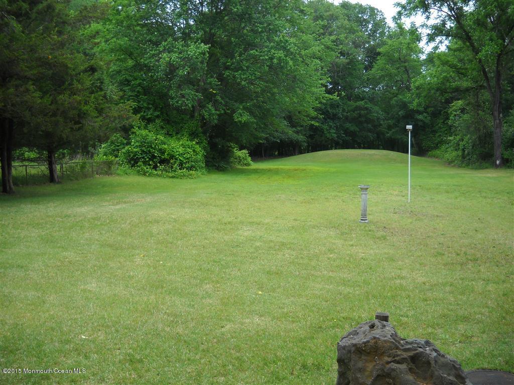 708 Monmouth Road Cream Ridge, NJ 08514 - Photo 24 of 24 Dilts 708 Monmouth Rd 008 (Medium) - Cop