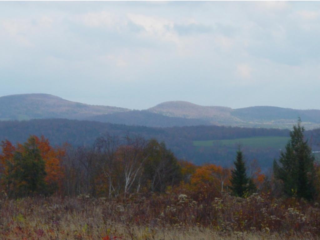 - Shuteville Road Albany, VT 05820 - Photo 1 of 13 Gallery Image 1