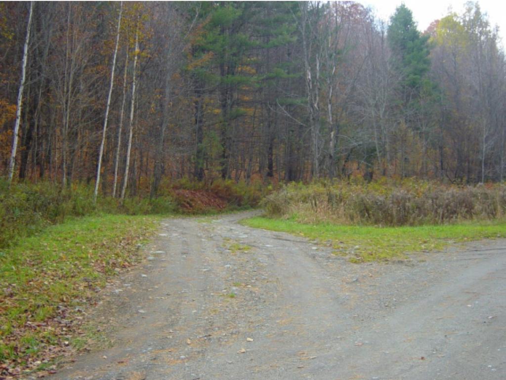 - Shuteville Road Albany, VT 05820 - Photo 4 of 13 Gallery Image 4