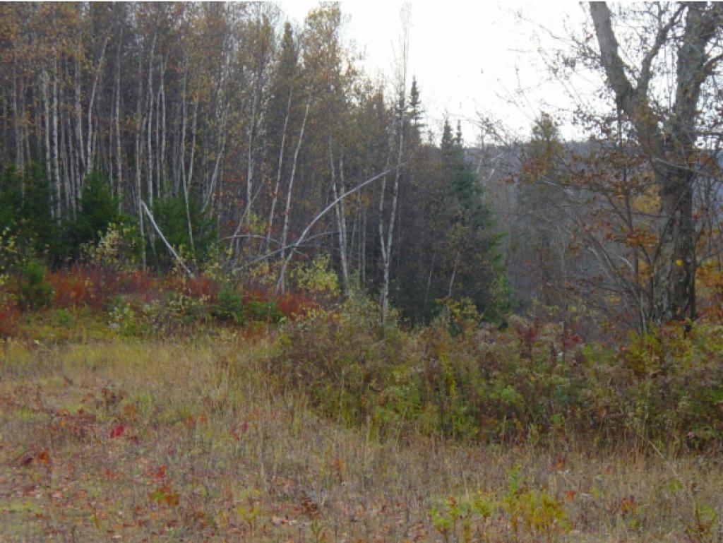 - Shuteville Road Albany, VT 05820 - Photo 6 of 13 Gallery Image 6