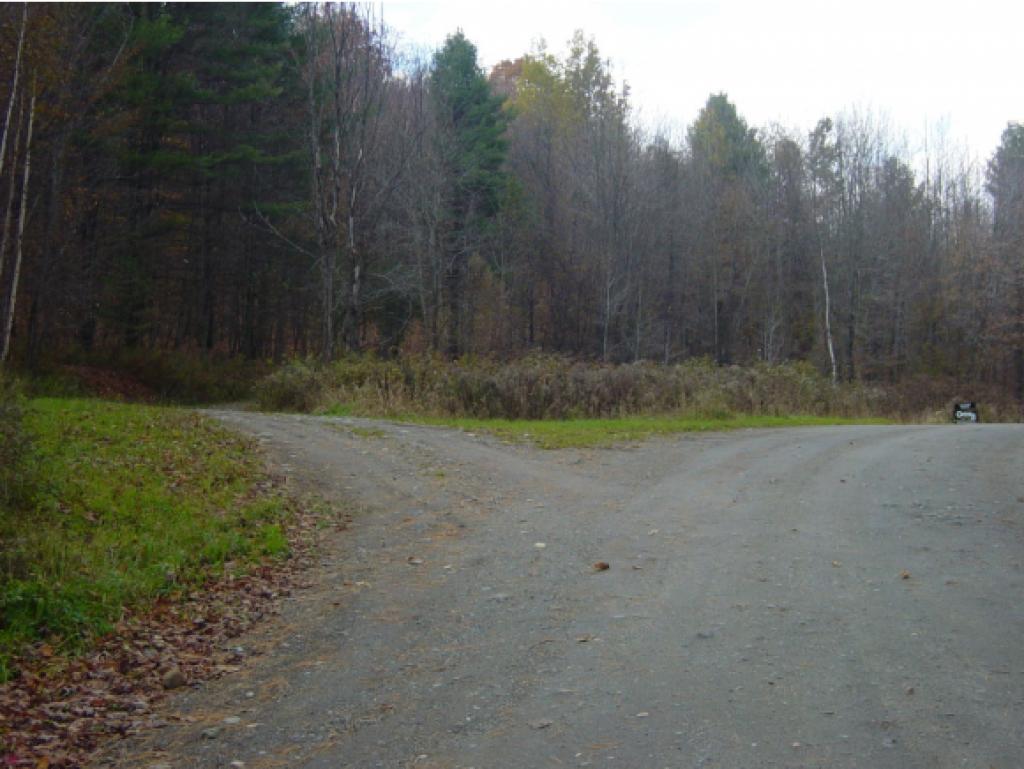 - Shuteville Road Albany, VT 05820 - Photo 7 of 13 Gallery Image 7