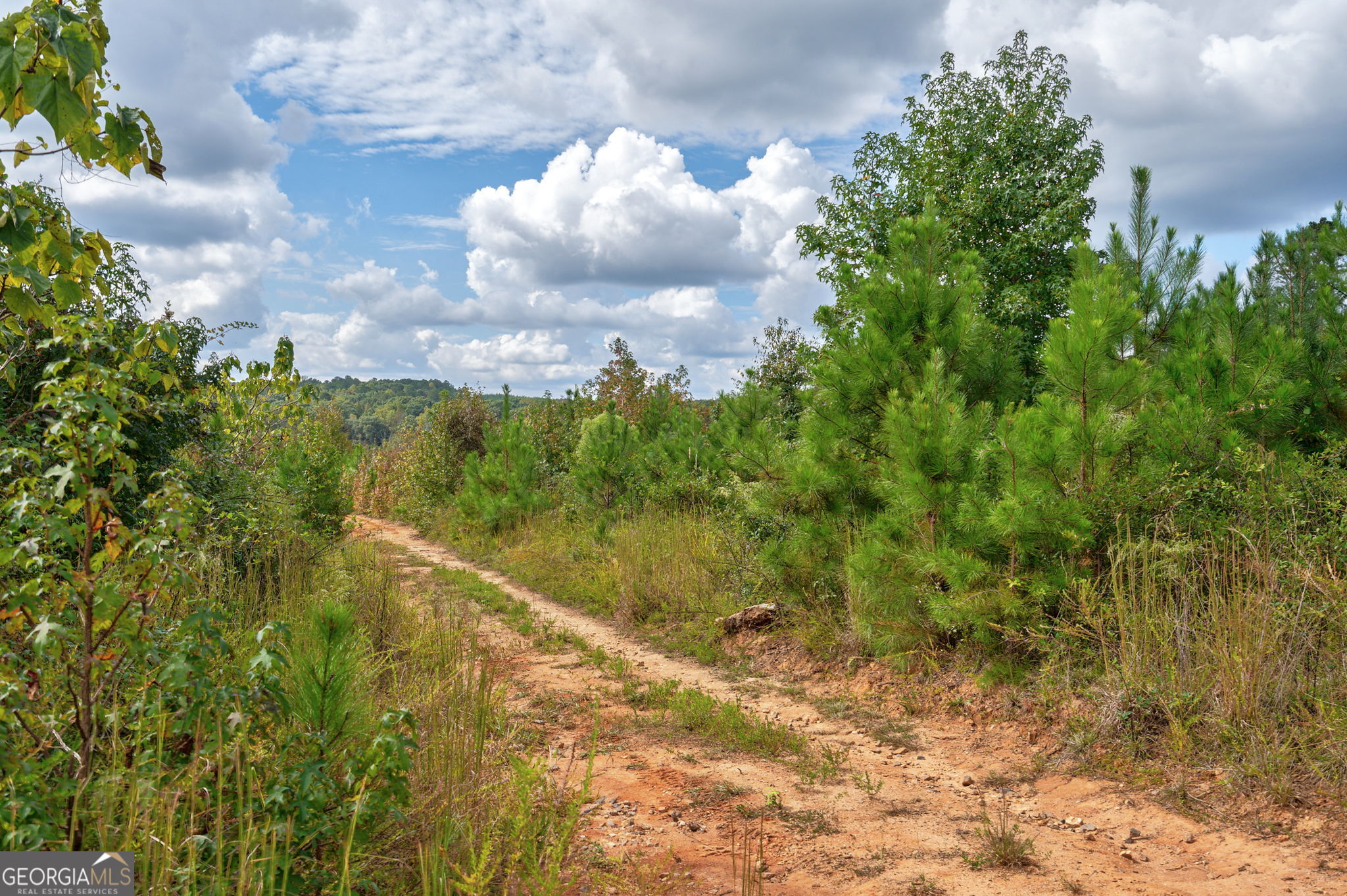 0 Old Salem Road Watkinsville, GA 30677 - Photo 6 of 23
