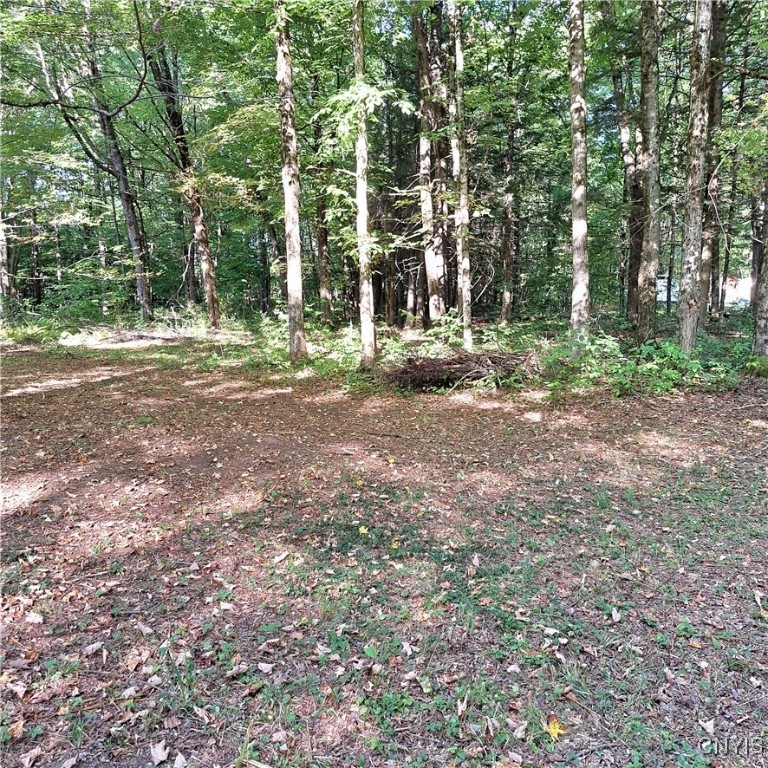 4401 Lee Center Taberg Road Annsville, NY 13471 - Photo 6 of 17