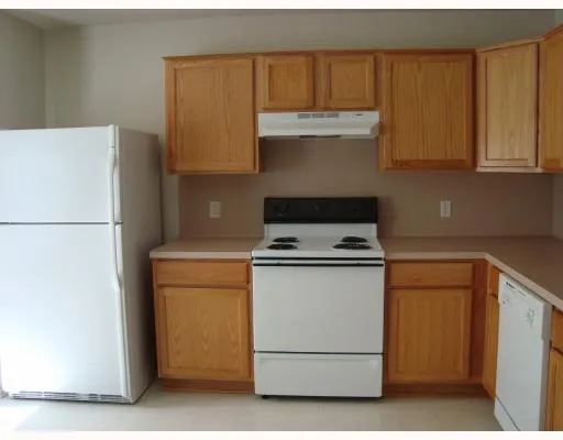 a kitchen with a stove and a refrigerator