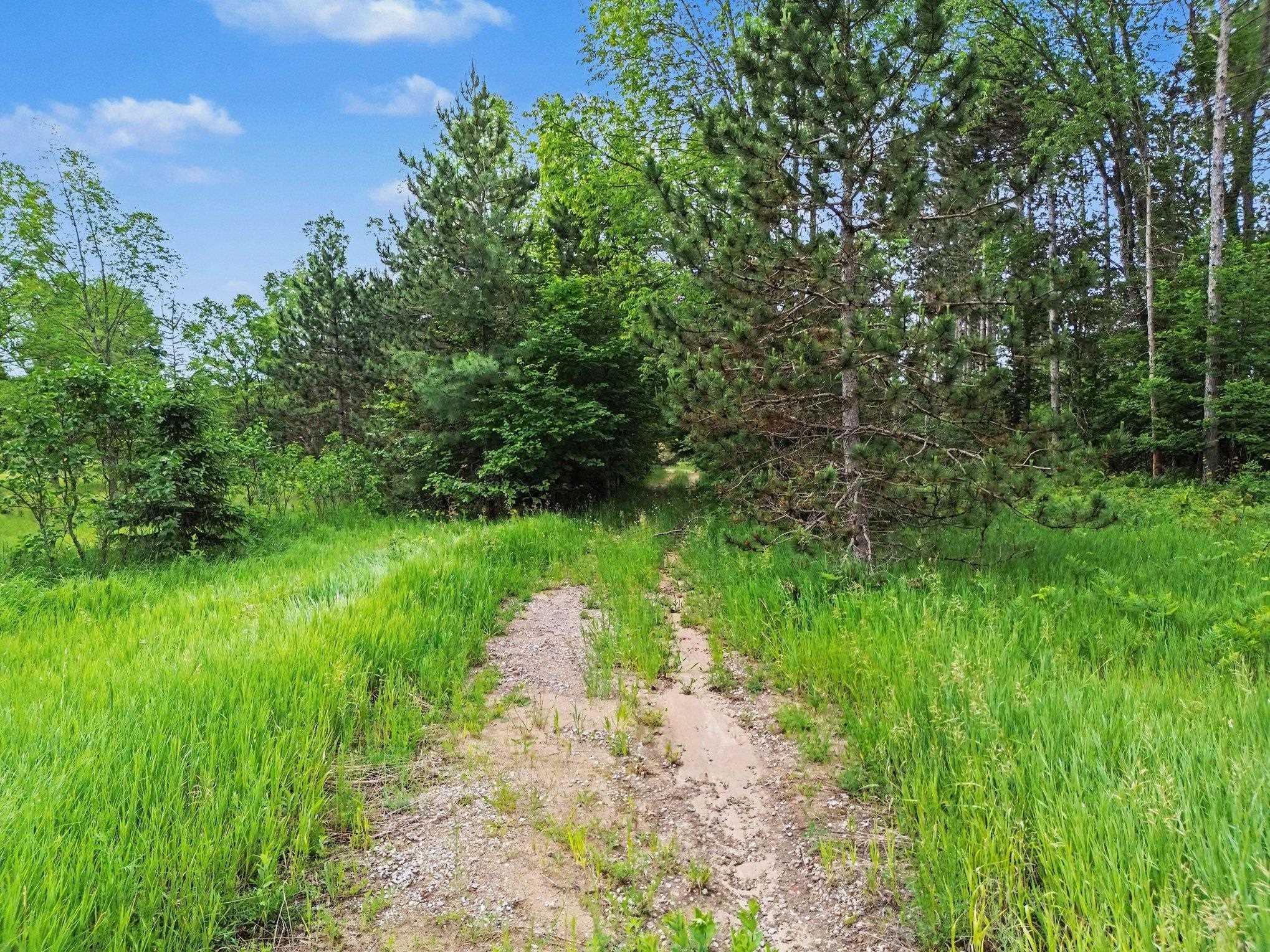 0 West 12 1/2 Road Mesick, MI 49668 - Photo 14 of 14