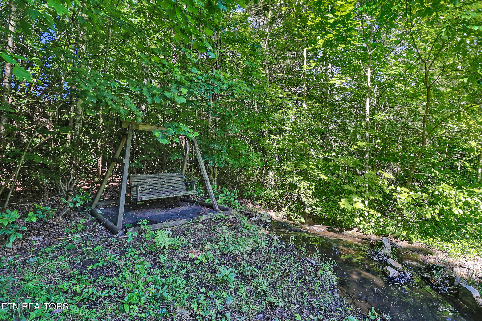 101 Duncan Hinds Road Jamestown, TN 38556 - Photo 35 of 59 Pond swing