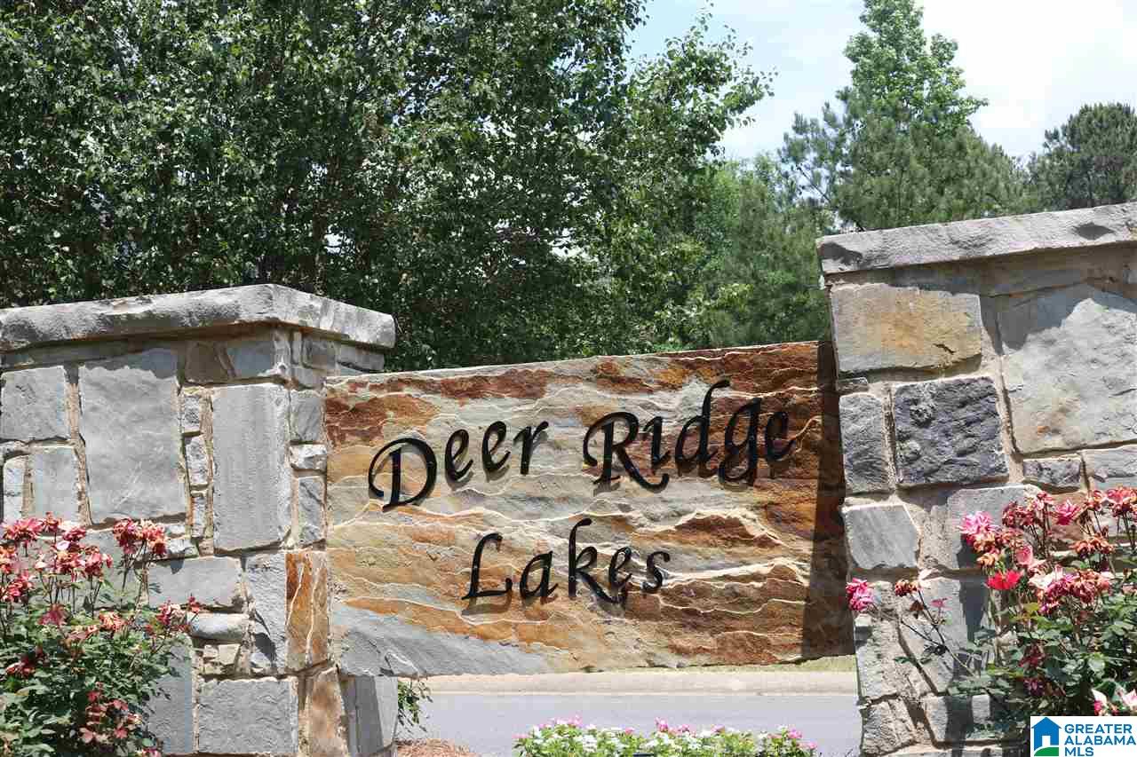 332 Deer Ridge Lane Chelsea, AL 35043 - Photo 38 of 39