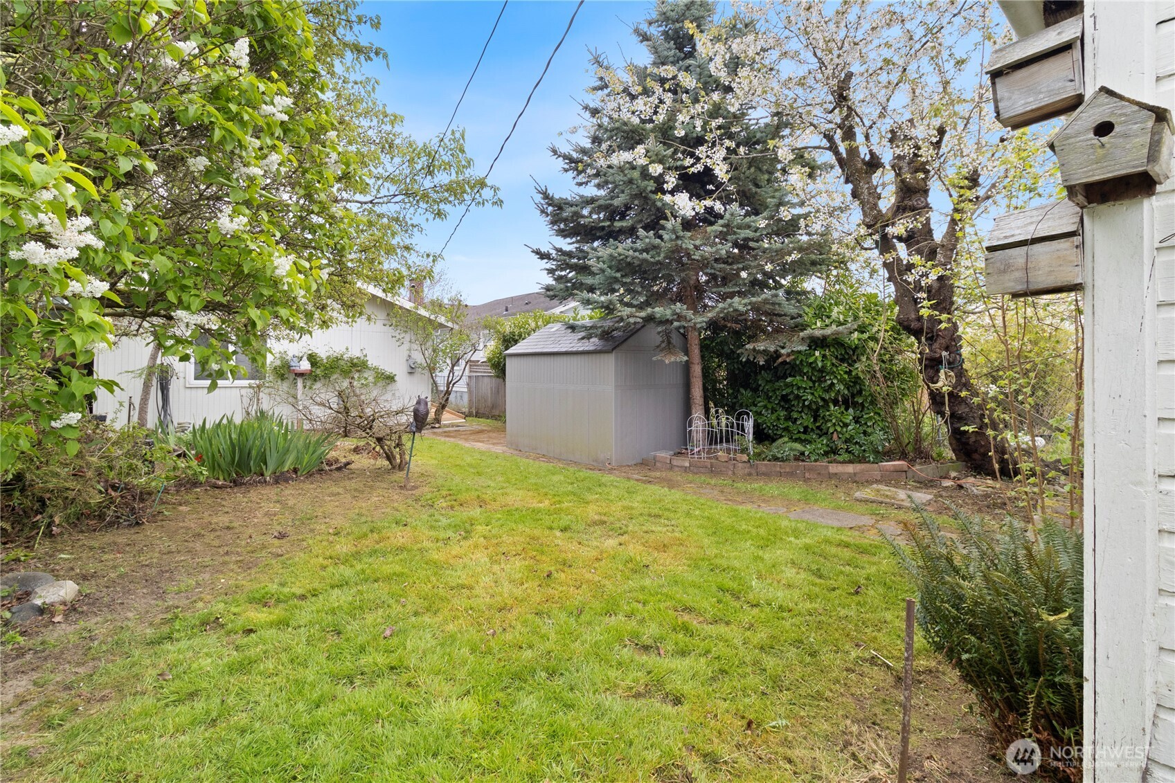 2431 Franklin Street Bellingham, WA 98225 - Photo 21 of 26 a backyard of a house with large trees and plants