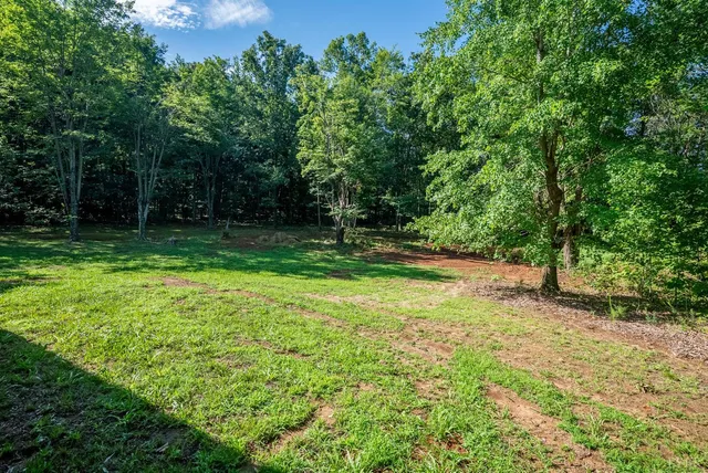 a view of outdoor space with deck and trees