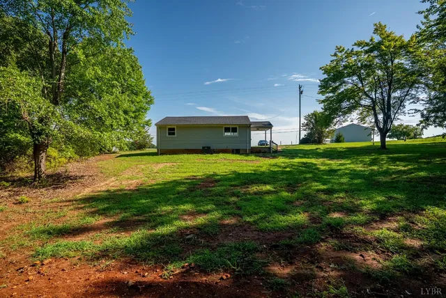 a view of a big yard with plants and large trees