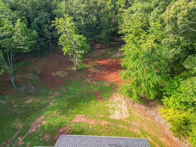 a view of a yard with plants