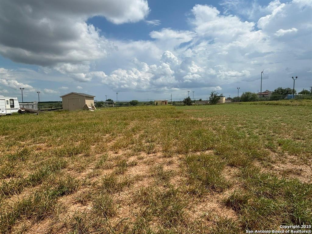 8215 Mejia Road Laredo, TX 78043 - Photo 4 of 14 a view of a big yard with large trees