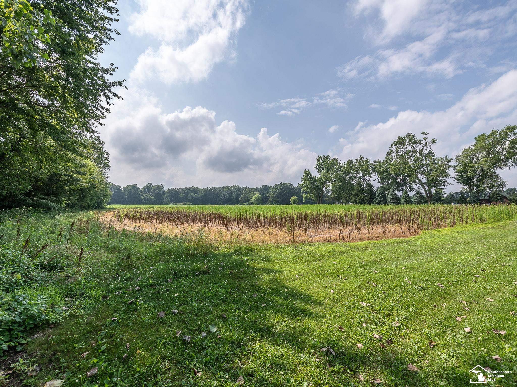 5280 Wells Road Petersburg, MI 49270 - Photo 3 of 8 Gallery Image 3