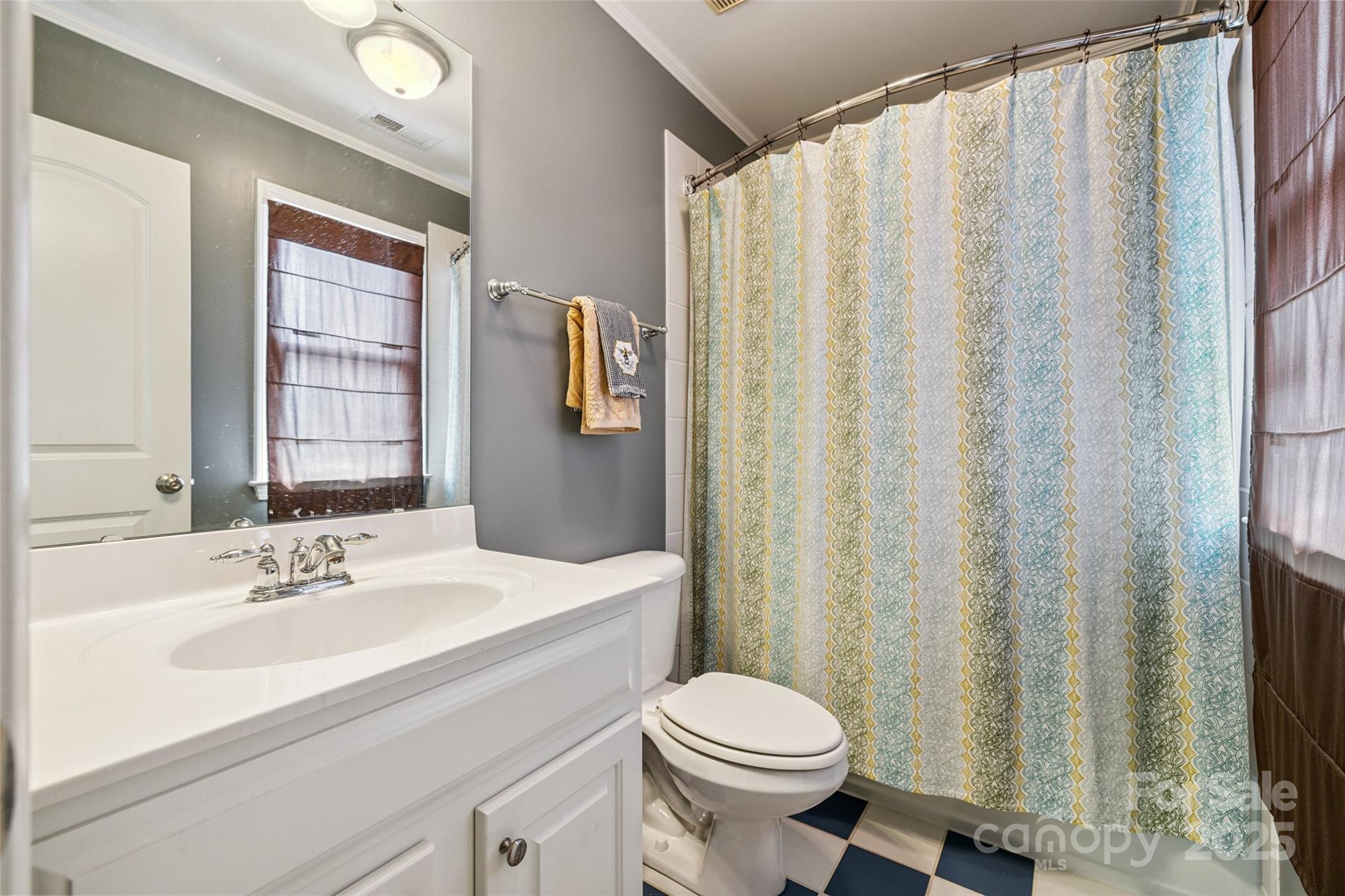 9142 Drayton Lane Indian Land, SC 29707 - Photo 31 of 48 a bathroom with a sink a toilet and shower curtain