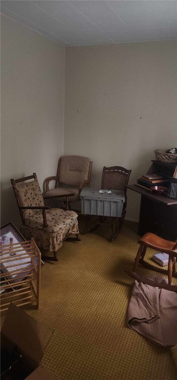 168 Reed Street Geneva, NY 14456 - Photo 4 of 6