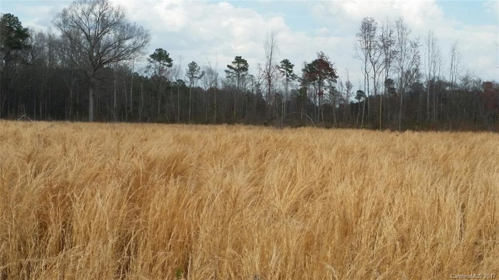521 Hwy Rembert Sc 29128 Highway Rembert, SC 29128 - Photo 2 of 11