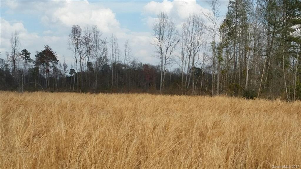 521 Hwy Rembert Sc 29128 Highway Rembert, SC 29128 - Photo 3 of 11
