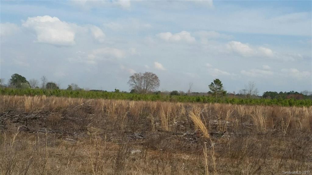 521 Hwy Rembert Sc 29128 Highway Rembert, SC 29128 - Photo 5 of 11