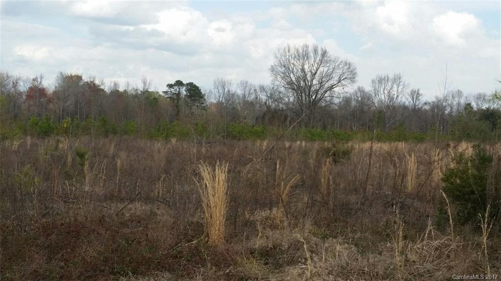 521 Hwy Rembert Sc 29128 Highway Rembert, SC 29128 - Photo 6 of 11