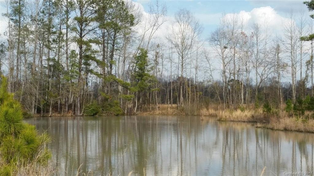 521 Hwy Rembert Sc 29128 Highway Rembert, SC 29128 - Photo 7 of 11