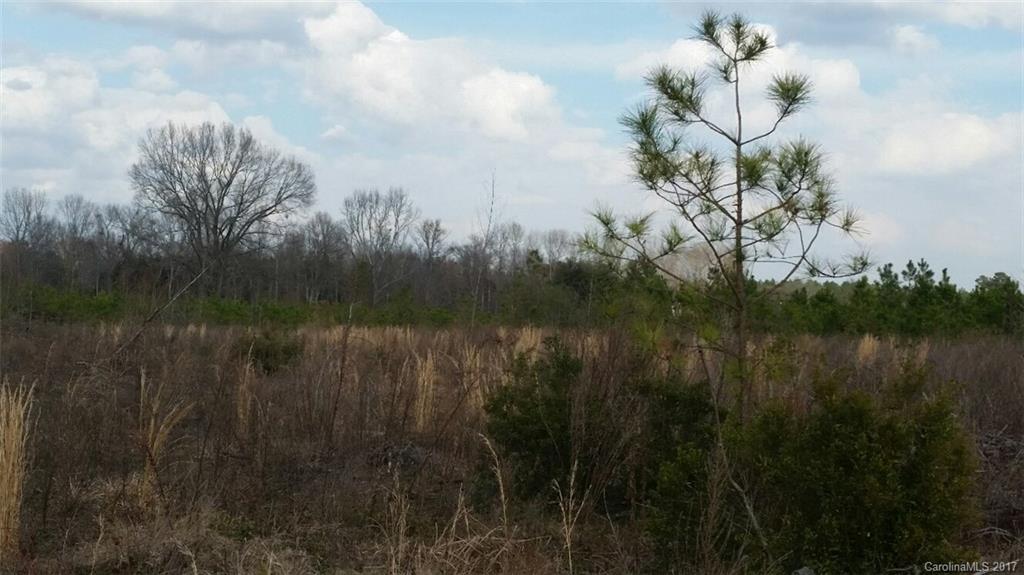 521 Hwy Rembert Sc 29128 Highway Rembert, SC 29128 - Photo 10 of 11