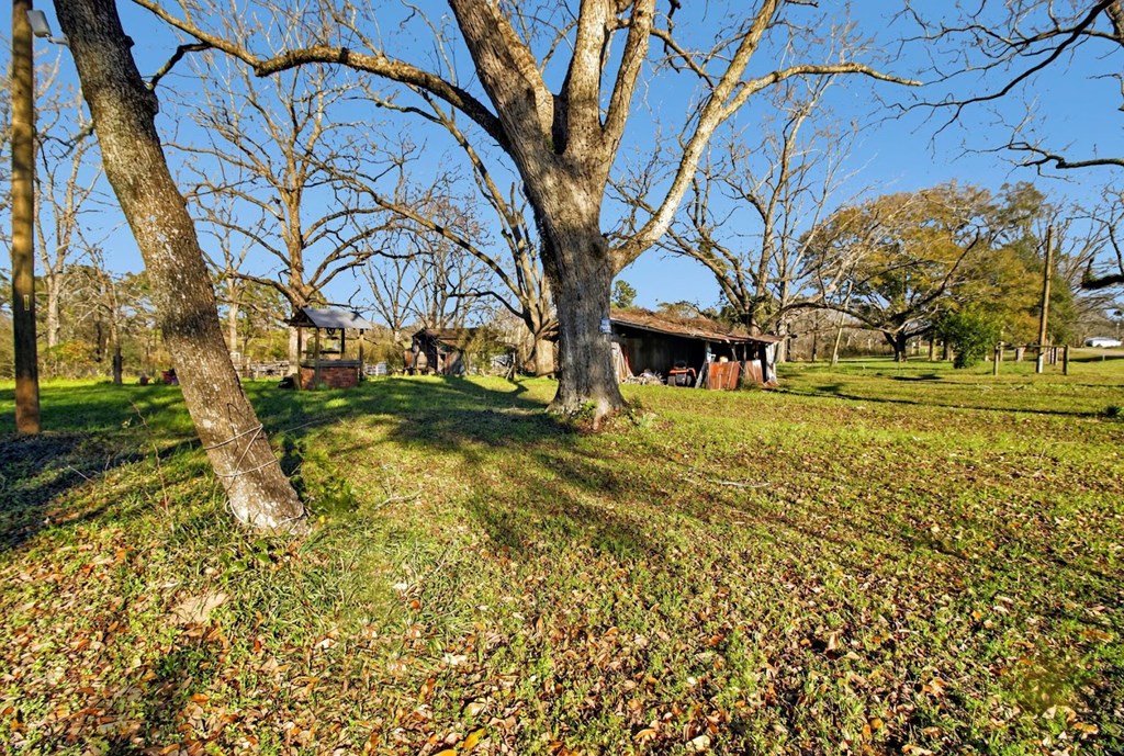 27701 Beulah Church Road Opp, AL 36467 - Photo 16 of 16