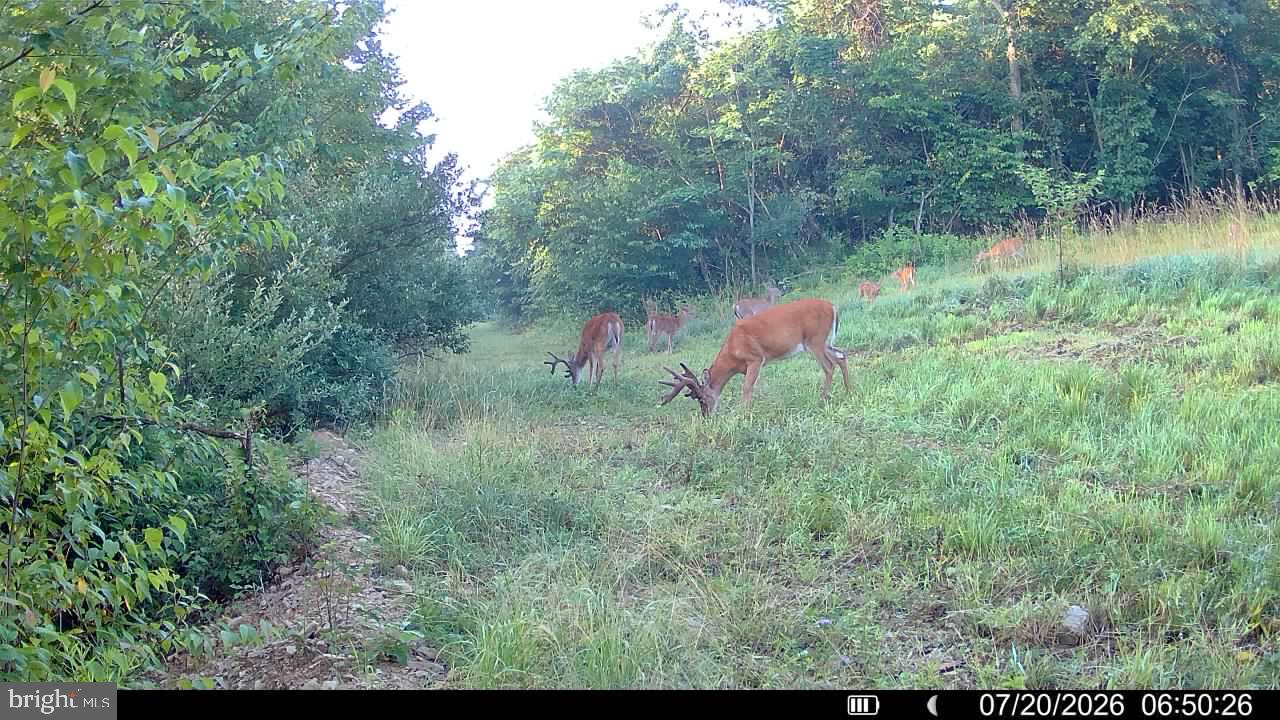 552 Wilson Road Parker, PA 16049 - Photo 29 of 60 Gallery Image 29