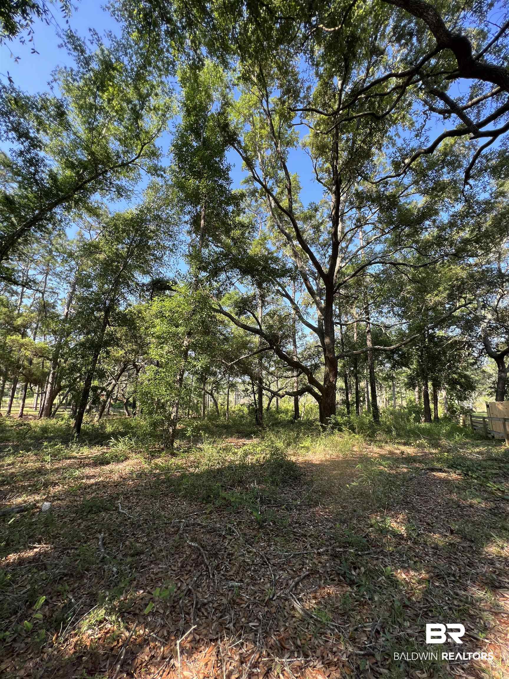 9545 North Bayou Road Lillian, AL 36549 - Photo 9 of 34 View of landscape