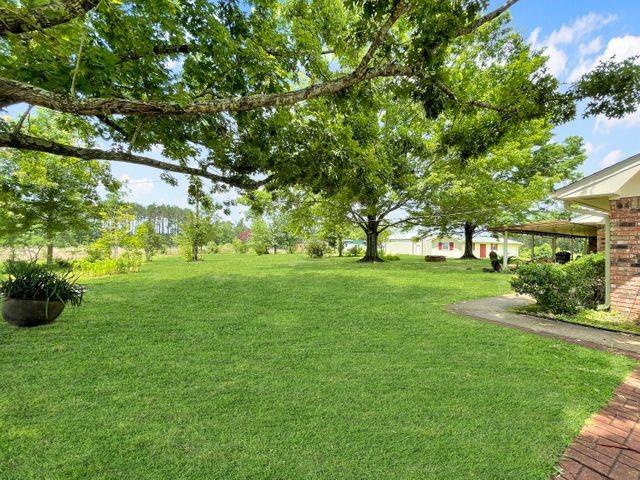 739 Pitkin Road Leesville, LA 71446 - Photo 29 of 50