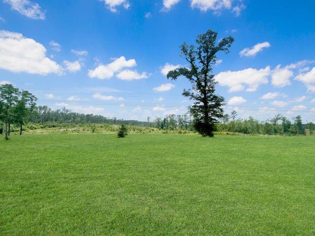 739 Pitkin Road Leesville, LA 71446 - Photo 41 of 50