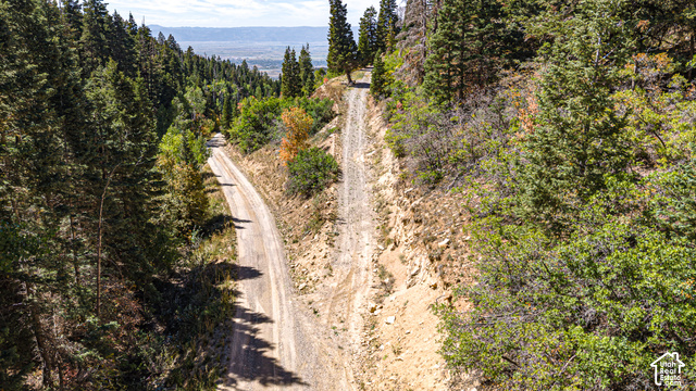 1197 East Quaking Hollow Road, Unit 1197 Mount Pleasant, UT 84647 - Photo 11 of 39 Gravel roads traversing a densely wooded hillside, surrounded by mature coniferous trees and deciduous foliage