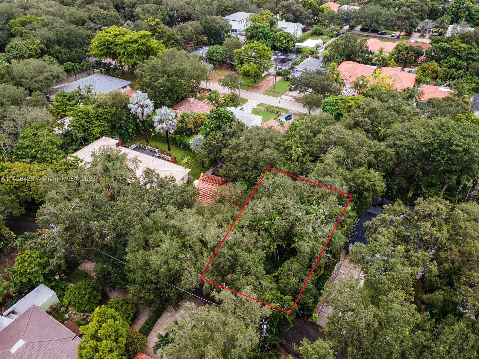 355 Northeast 86th Street El Portal, FL 33138 - Photo 13 of 23 a view of a bunch of flowers