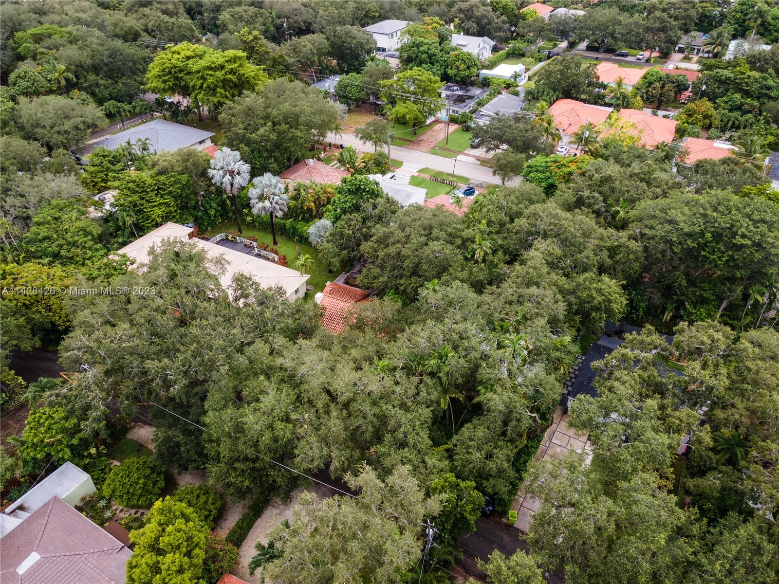 355 Northeast 86th Street El Portal, FL 33138 - Photo 14 of 23 a view of a tree