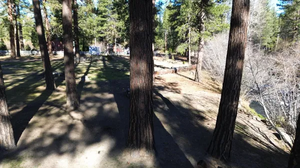 a house with trees in the background