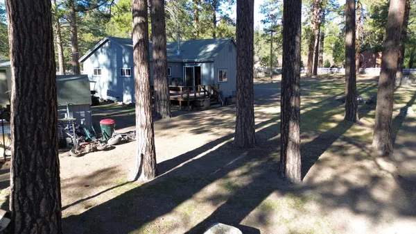 a view of street with a large trees