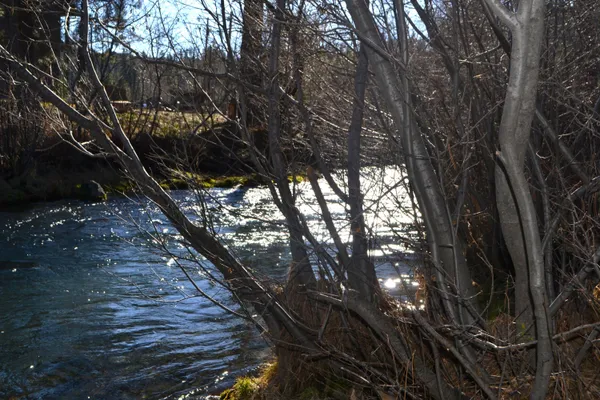 $239,000 | 13285 Circle Drive, Old Station, CA 96071