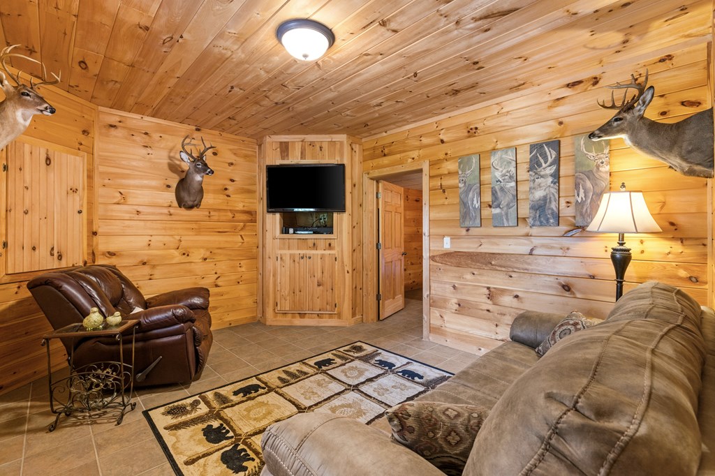 16 Enchanting Circle Morganton, GA 30560 - Photo 26 of 57 a bedroom with furniture and a flat screen tv