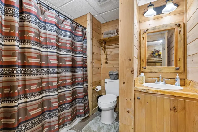 a view of a forest with a mountain