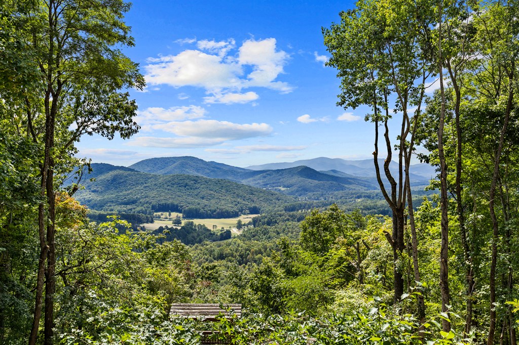16 Enchanting Circle Morganton, GA 30560 - Photo 32 of 57 a view of a forest with a mountain