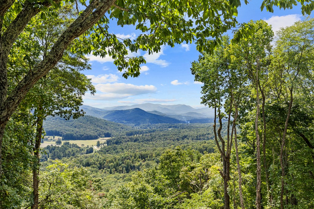 16 Enchanting Circle Morganton, GA 30560 - Photo 33 of 57 a view of a yard with a tree