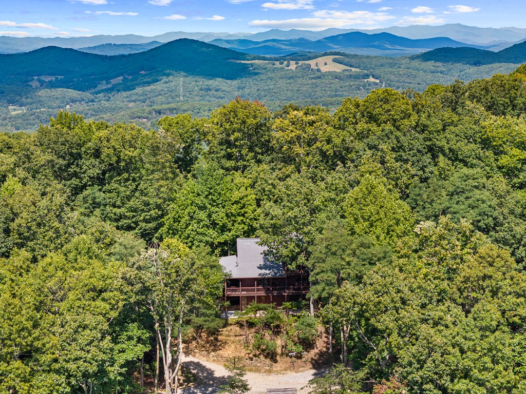 16 Enchanting Circle Morganton, GA 30560 - Photo 35 of 57 a view of lake with mountain