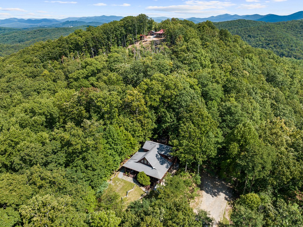 16 Enchanting Circle Morganton, GA 30560 - Photo 37 of 57 an aerial view of a house with a yard